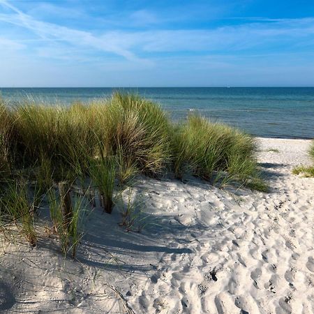 Daenische Ferienhaeuser Am Salzhaff Haus Vogelparadies Insula Poel Exterior foto