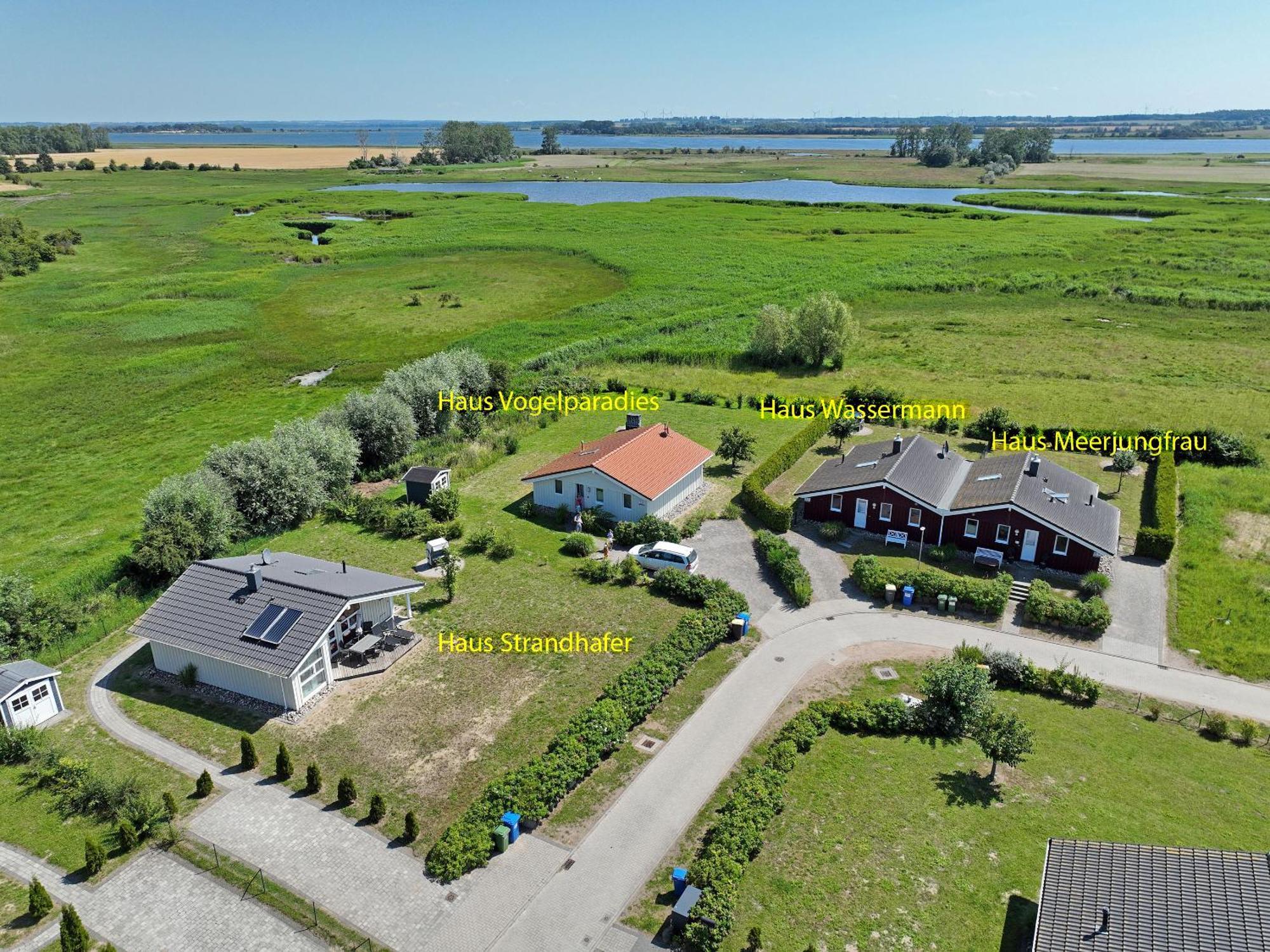 Daenische Ferienhaeuser Am Salzhaff Haus Vogelparadies Insula Poel Exterior foto