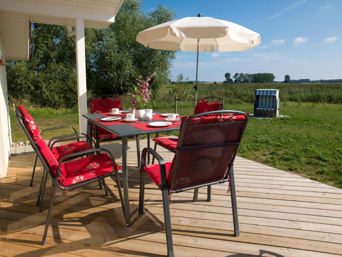 Daenische Ferienhaeuser Am Salzhaff Haus Vogelparadies Insula Poel Exterior foto