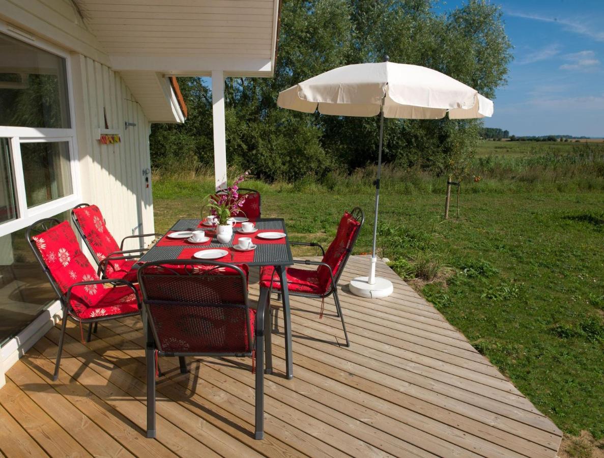 Daenische Ferienhaeuser Am Salzhaff Haus Vogelparadies Insula Poel Exterior foto