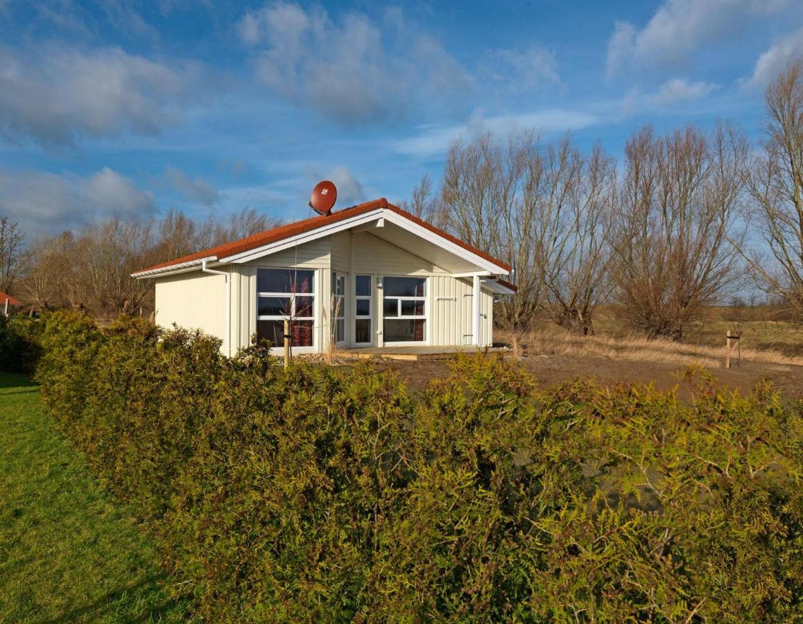 Daenische Ferienhaeuser Am Salzhaff Haus Vogelparadies Insula Poel Exterior foto