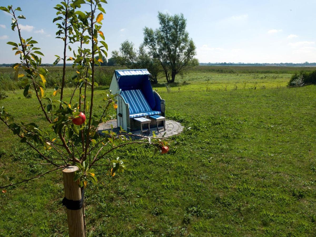 Daenische Ferienhaeuser Am Salzhaff Haus Vogelparadies Insula Poel Exterior foto